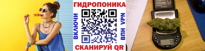 Виды наркоты Порхов СК  Мефедрон  ГАШИШ 