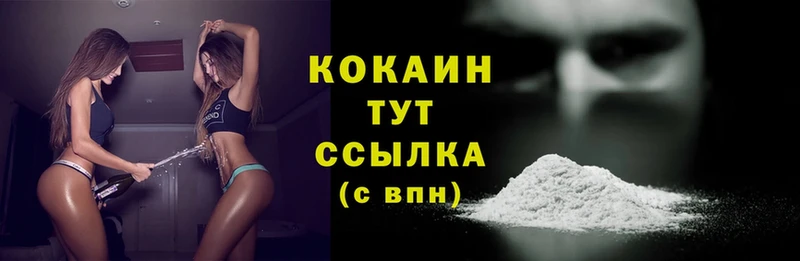 где купить   Порхов  Cocaine Columbia 