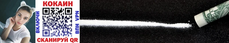 где можно купить наркотик  Порхов  КОКАИН FishScale 